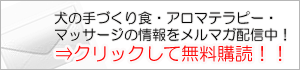 ぐり通信、ご購読はこちら
